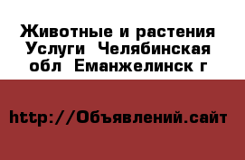 Животные и растения Услуги. Челябинская обл.,Еманжелинск г.